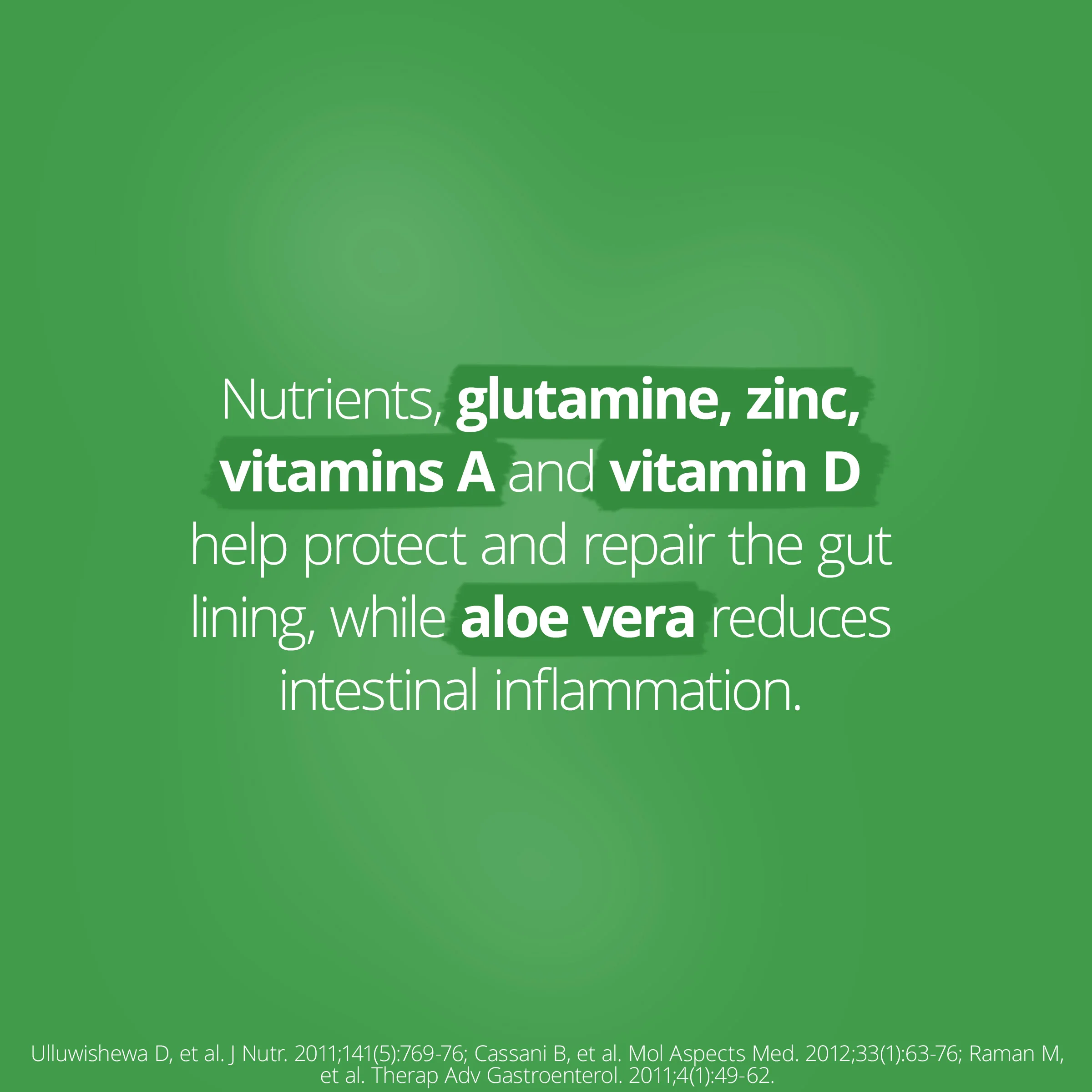 Glutagenics Lemon Lime 230g Powder - Image 3