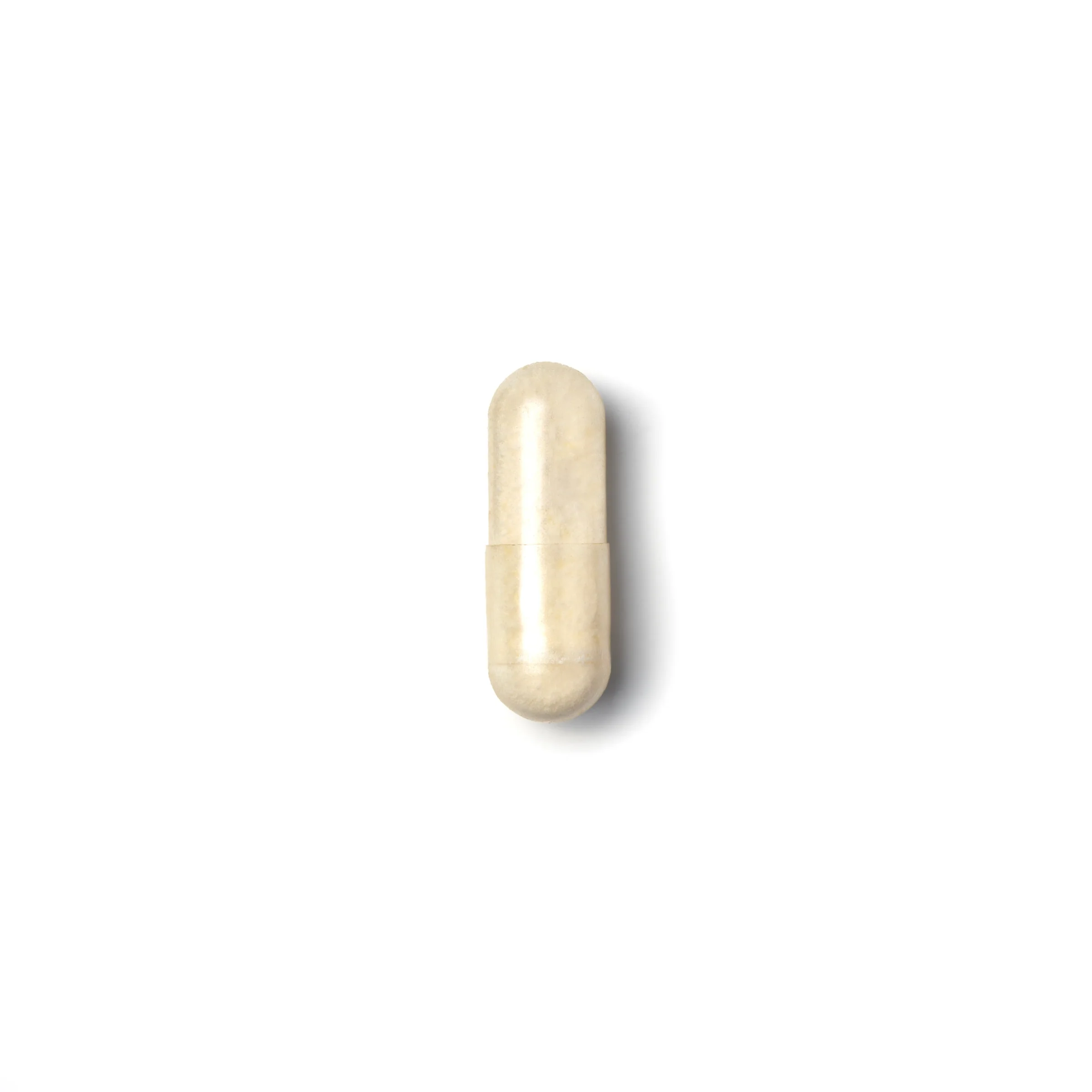 Probiotics for 50+ Years 40 Capsules - Image 2
