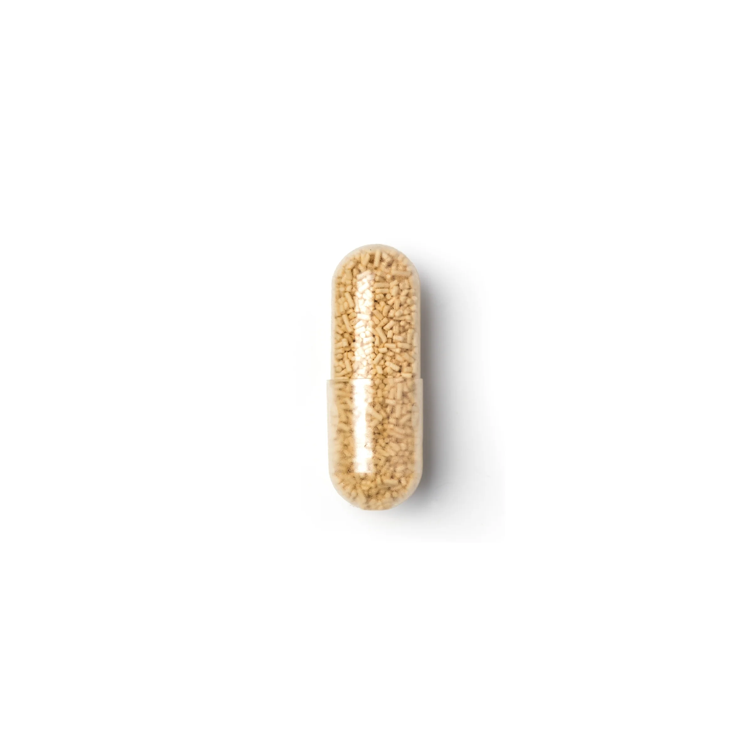 Travel Bug Probiotic 20 Capsules - Image 3