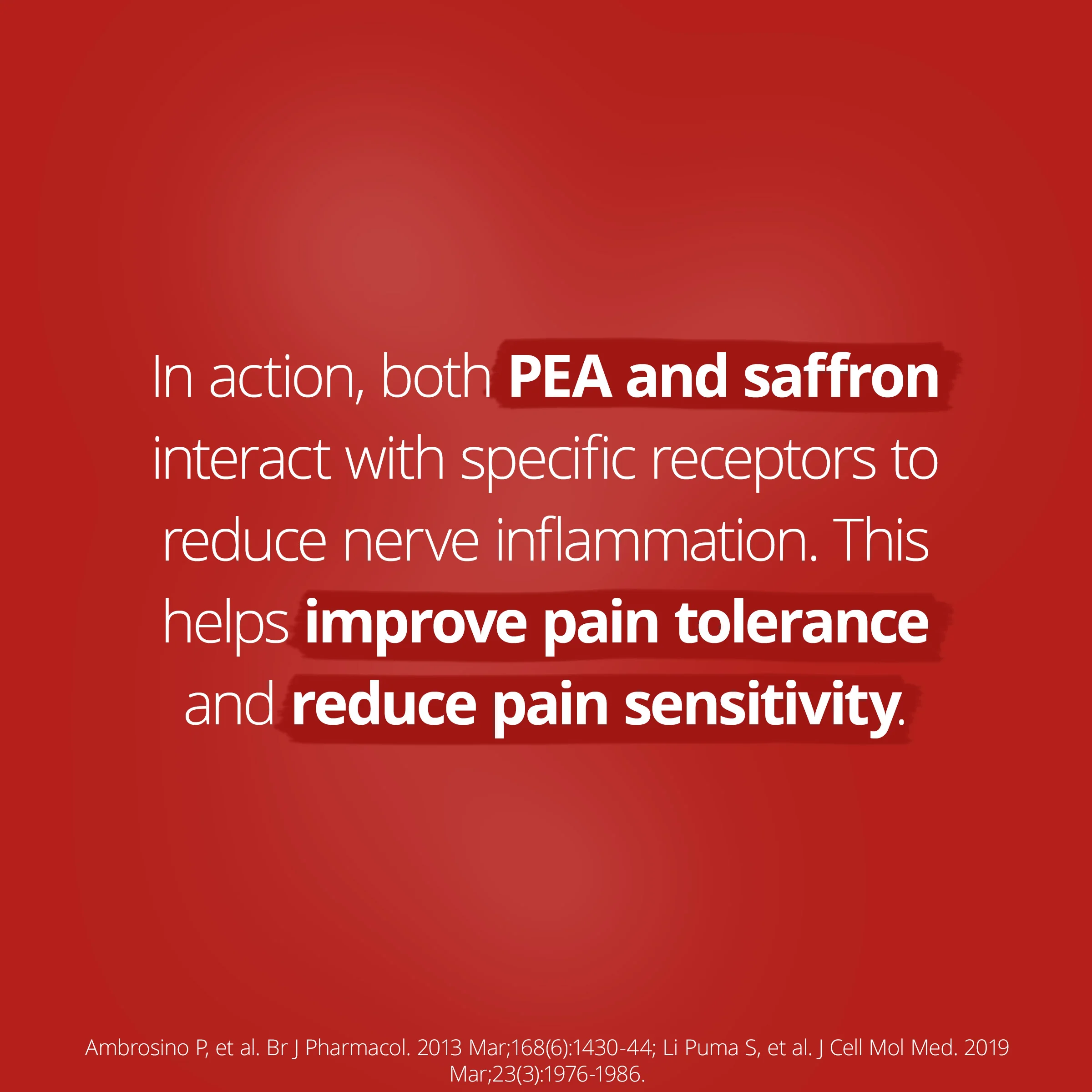 PainX PEA Advanced 42 Capsules - Image 2